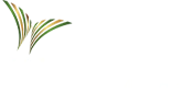 LOGO PATA SANTAMARIA MINERALS